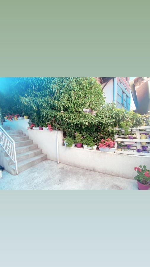 Galeb Apartment Ohrid Kültér fotó