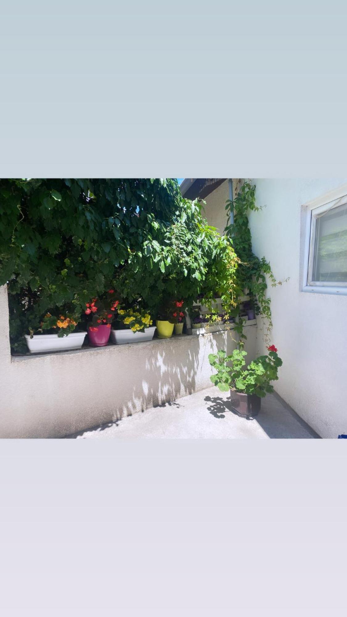 Galeb Apartment Ohrid Kültér fotó
